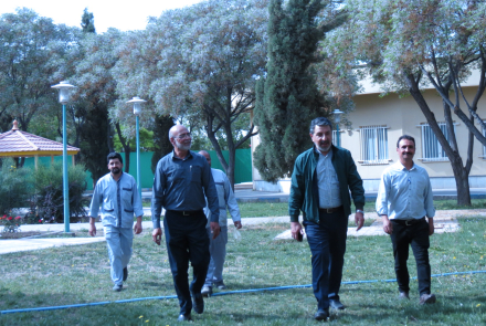 پیاده روی